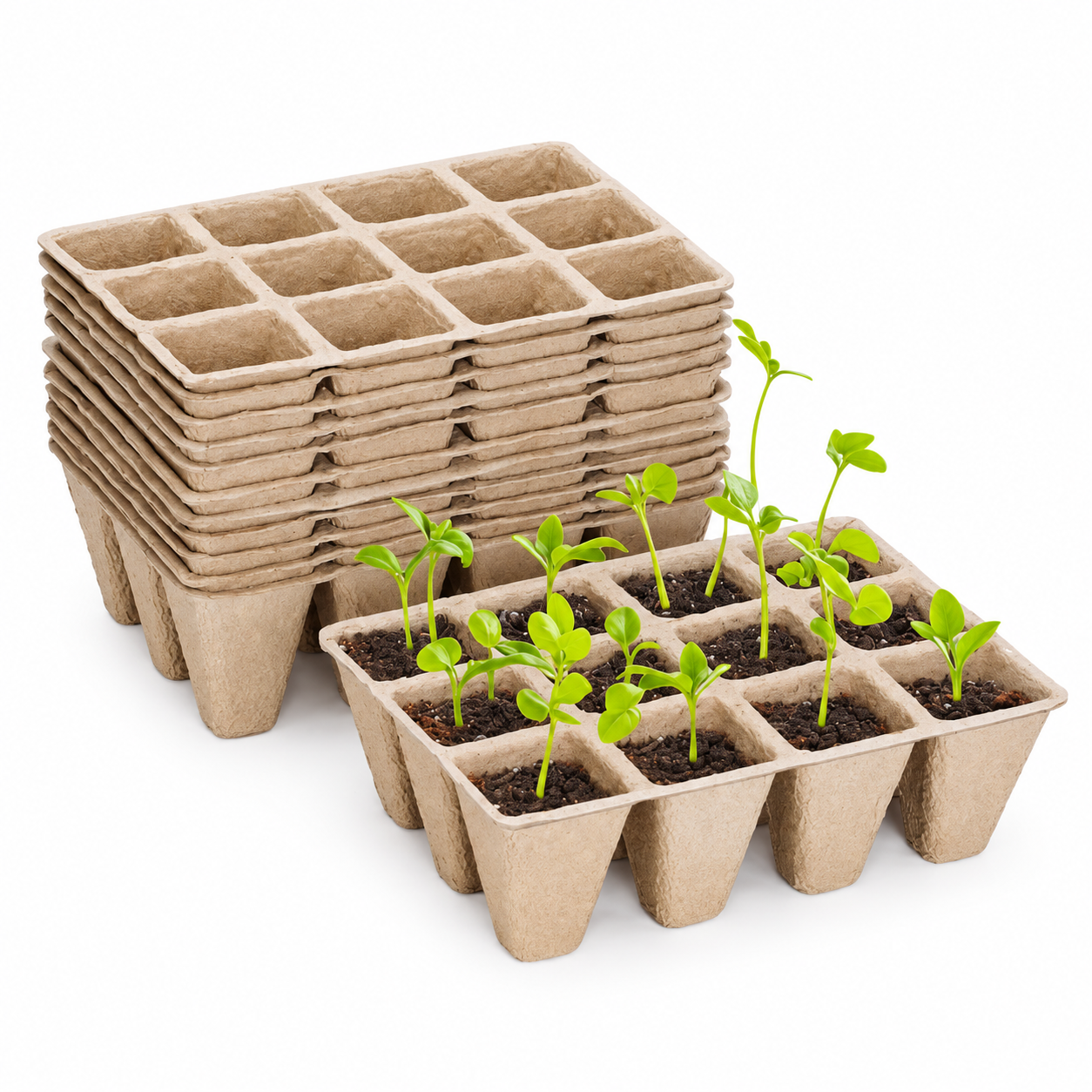Doter Biodegradable Seedling Starter Trays, 120 Cells